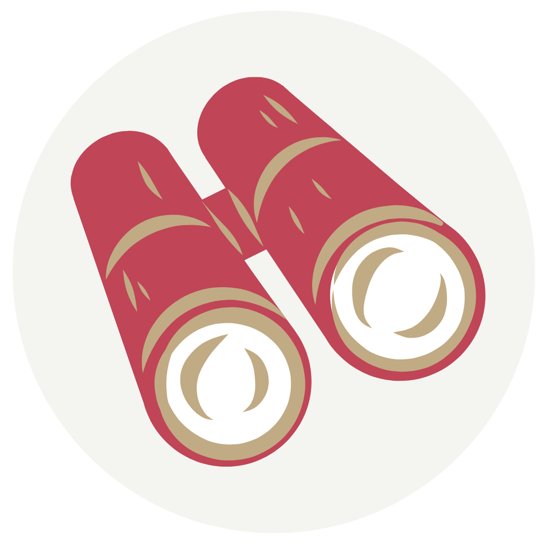 Vision Icon